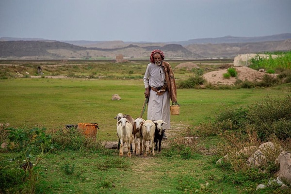 yemen