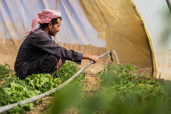 yemen_July8