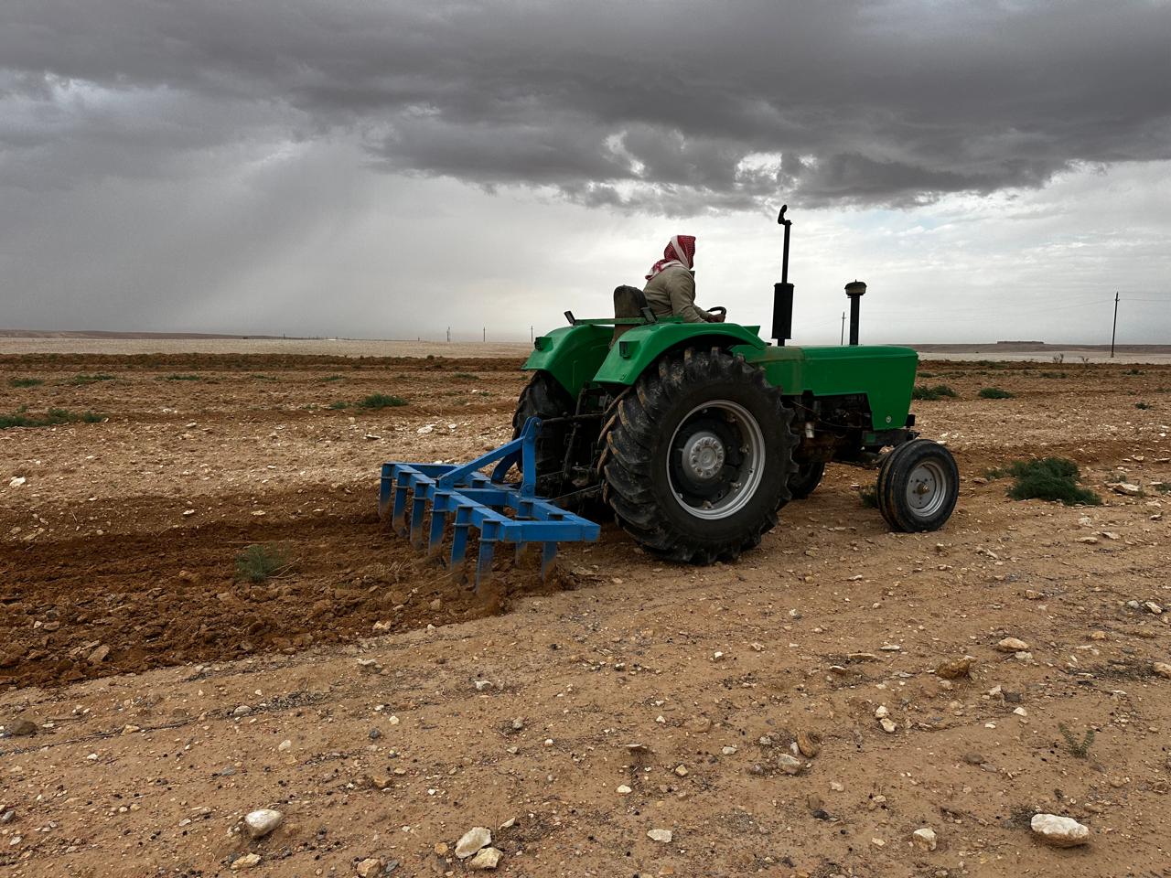 Reviving Iraq’s rangelands and marshlands: Practical steps toward sustainable land management