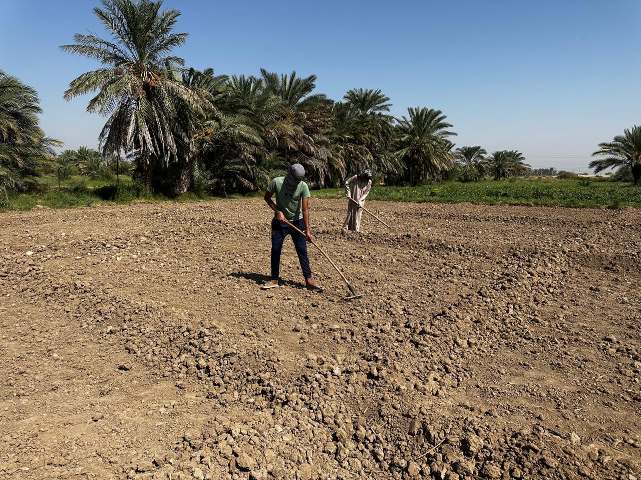 Reviving Iraq’s rangelands and marshlands: Practical steps toward sustainable land management