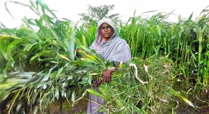 Anchors of Hope: Women driving recovery and resilience - Sudan