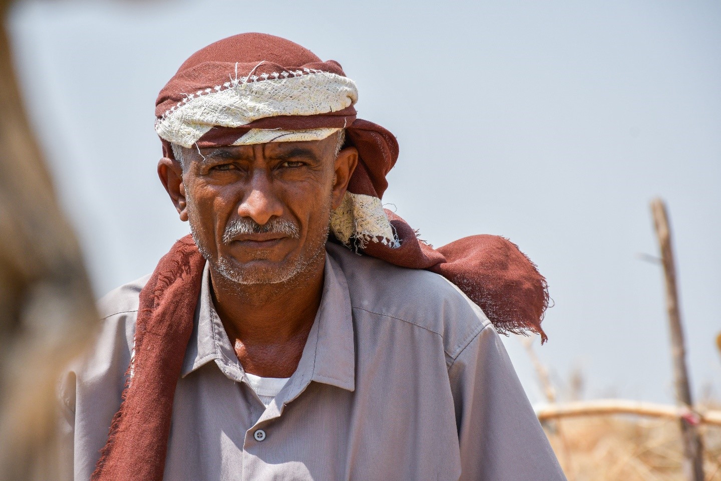 Yemen: Livestock production support breeds hope amidst challenges
