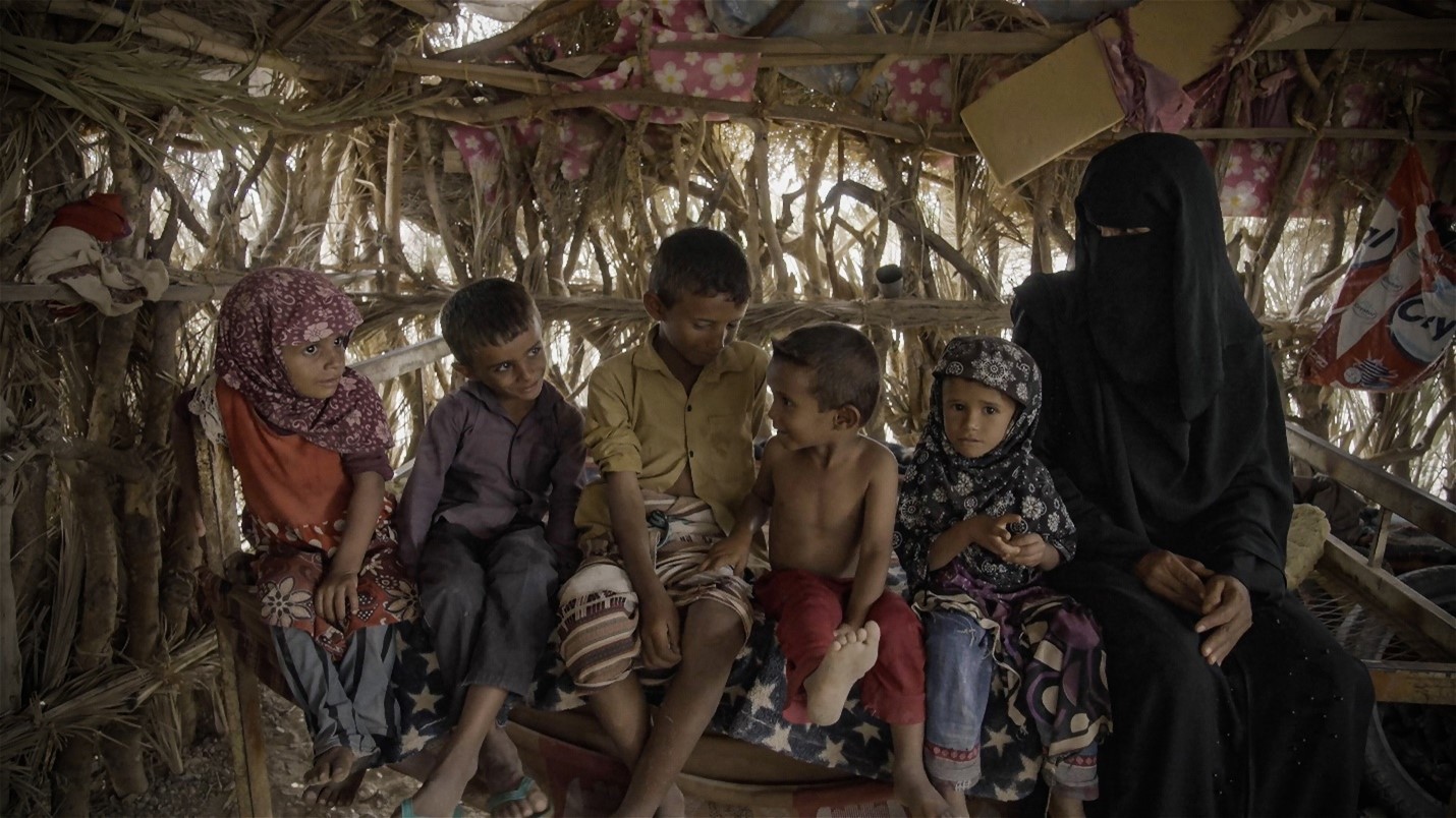 Yemen: Livestock production support breeds hope amidst challenges
