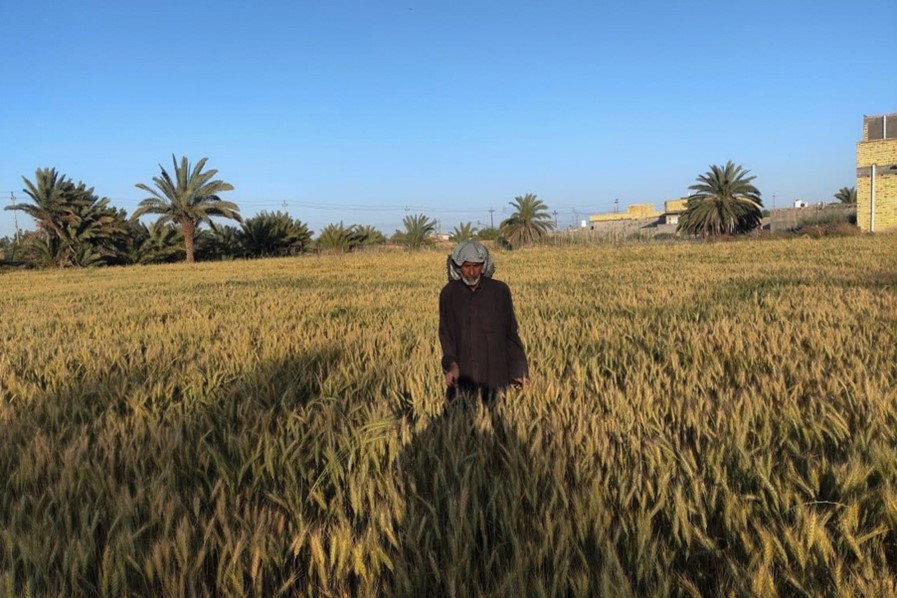 Harvesting Hope: Reversing Desertification through Conservation Agriculture for Sustainable Land Management in Southern Iraq