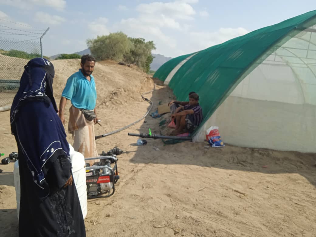 Anchors of Hope: Women driving recovery and resilience - Yemen