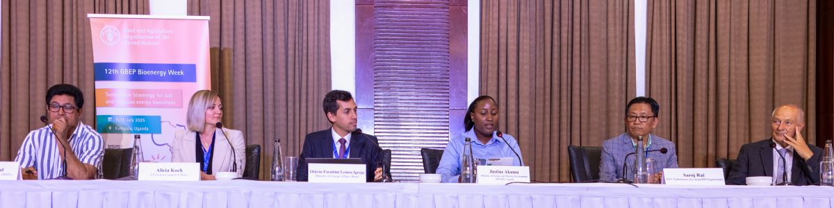 Sustainable biofue markets panel - ©Alan Sherrard Sustainable biofue markets panel - ©Alan Sherrard