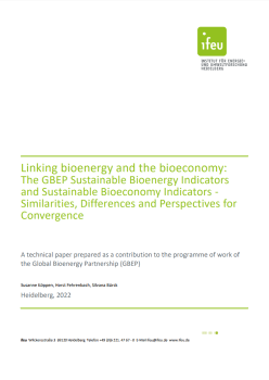ifeu contribution cover page