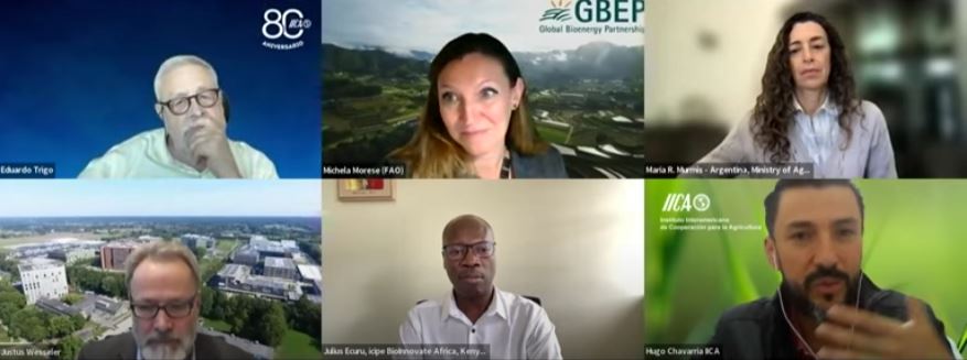 Screenshot of the webinar Webinar on strategies and public policies around bioeconomy and bioenergy