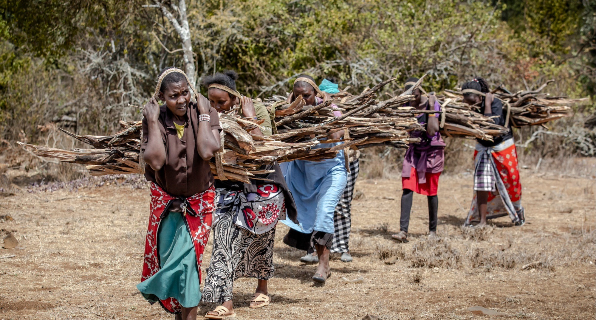 African women carrying wood for cooking - ©FAO/Luis Tato