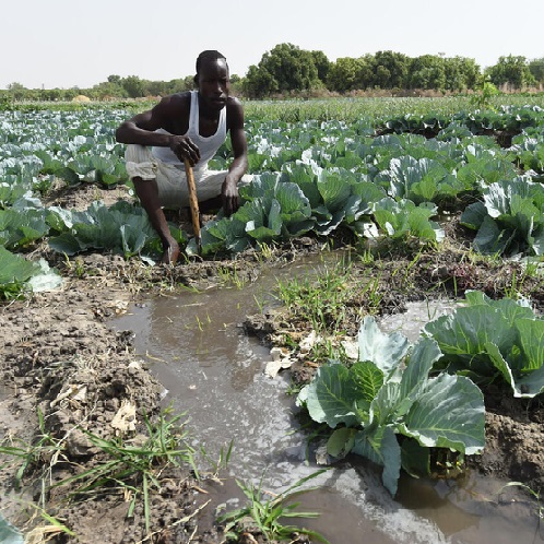 sahel irrigation square jpg