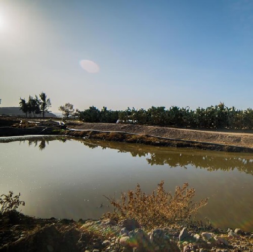 irrigation caribbean