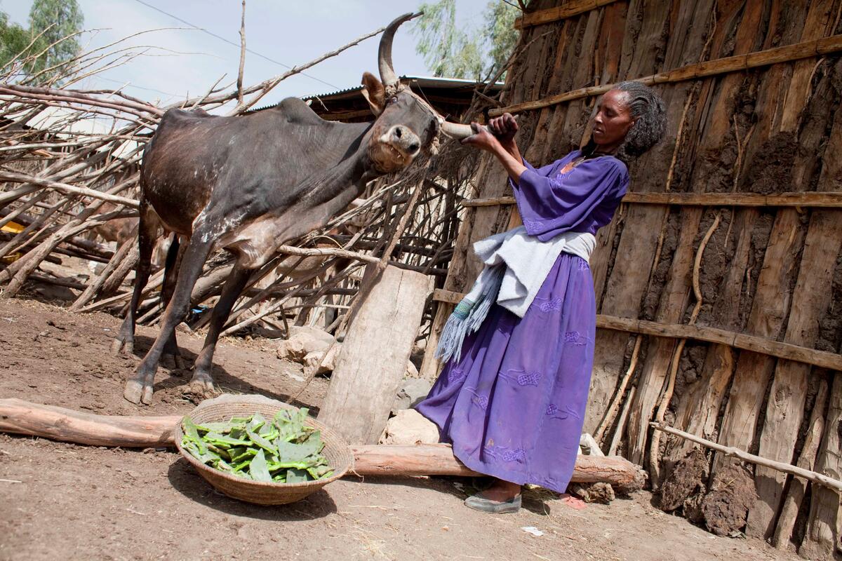 Ethiopia