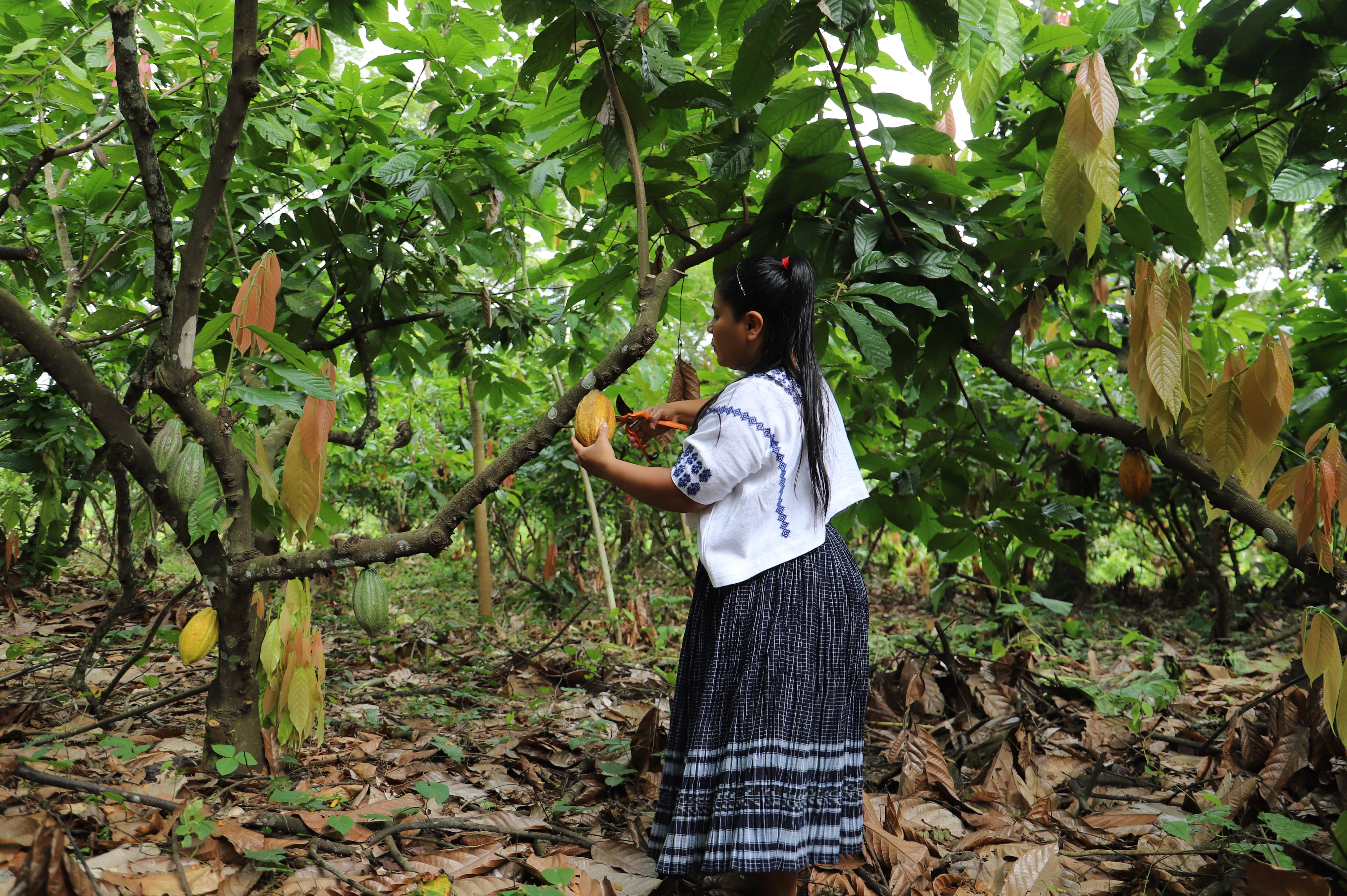 Guatemala