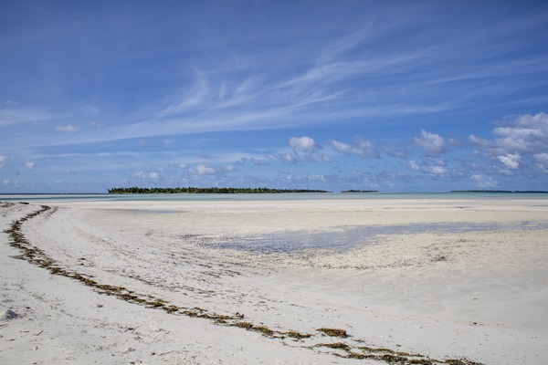 © FAO/Giulio Napolitano