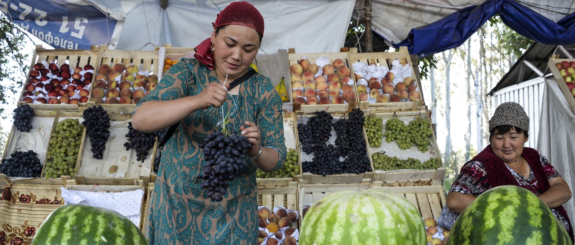 © FAO/Vyacheslav Oseledko