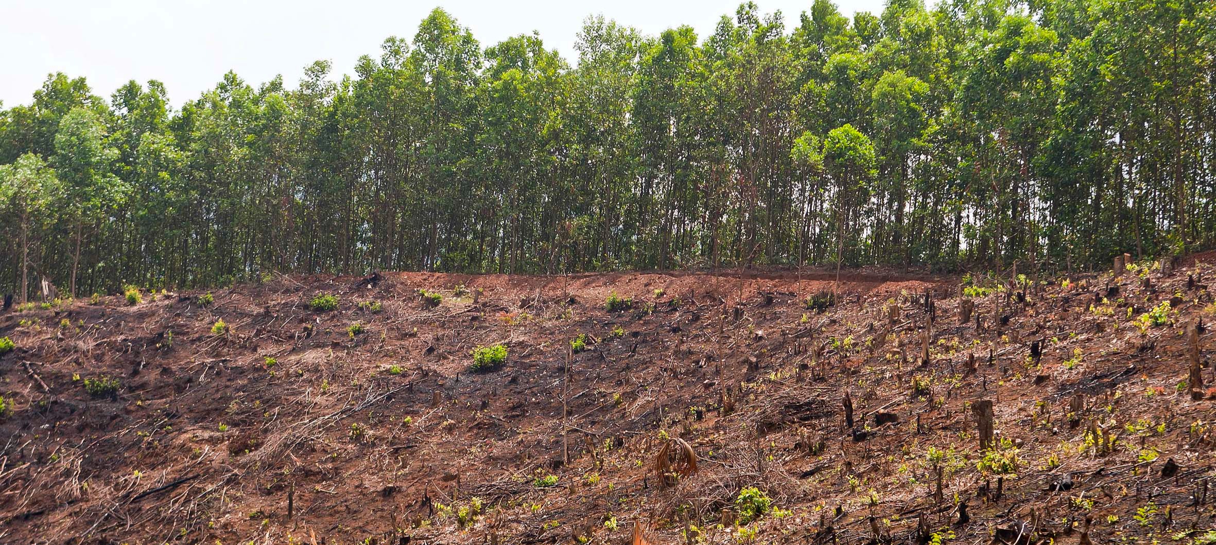 ©FAO/Joan Manuel Baliellas