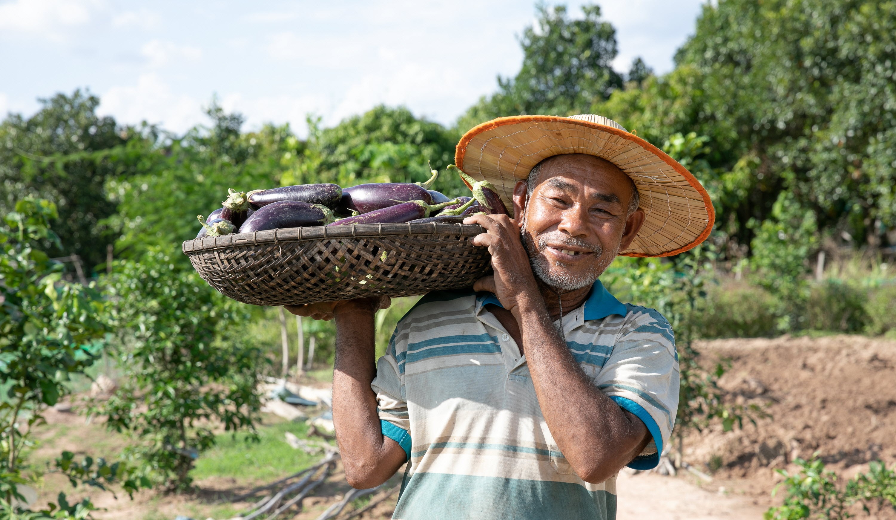 ©FAO/Luis Tato