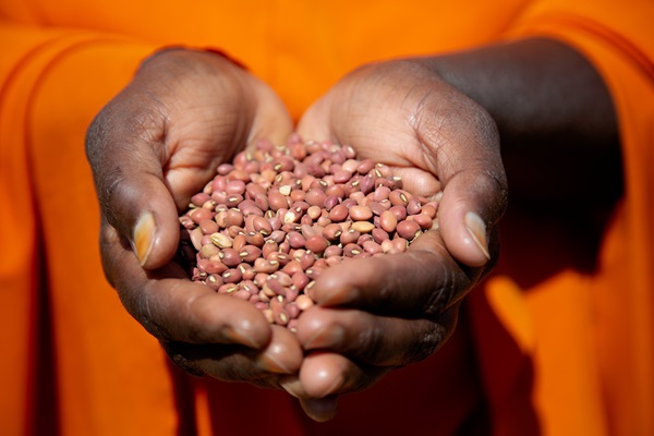 A women holds beans