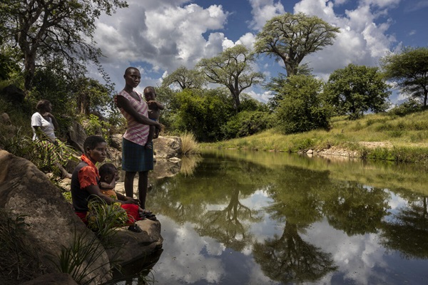 © Brent Stirton/Getty Images for FAO, CIRAD, CIFOR, WCS