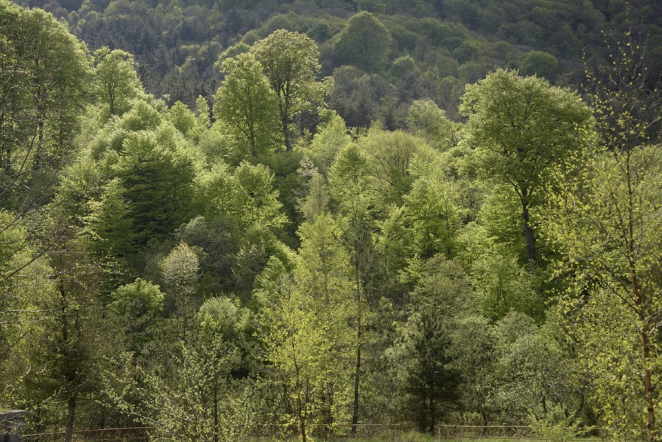 ©FAO/Karen Minasyan