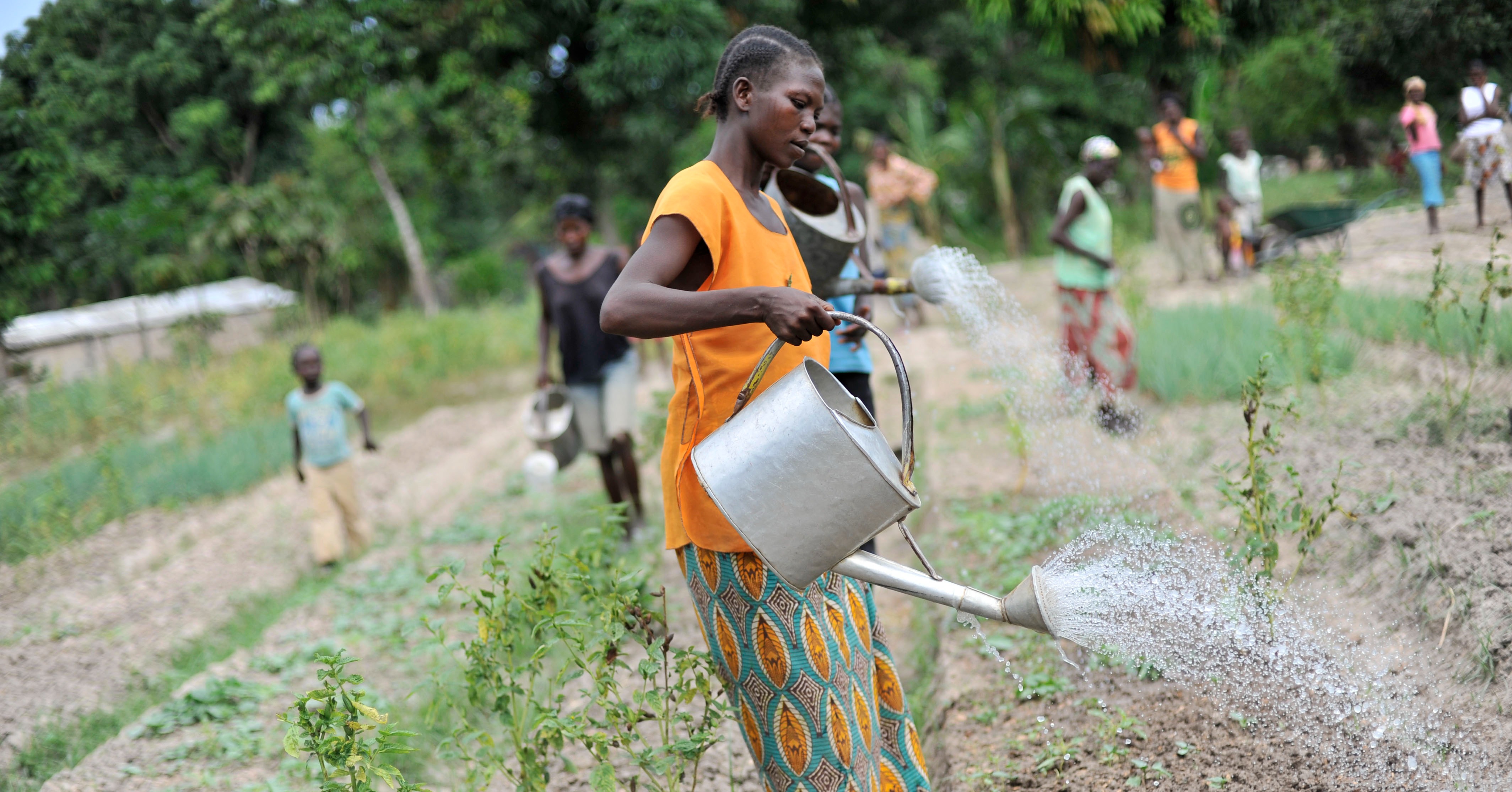 ©FAO/Riccardo Gangale