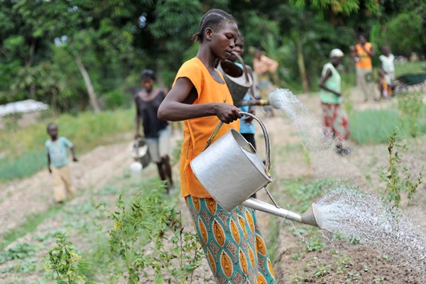 ©FAO/Riccardo Gangale