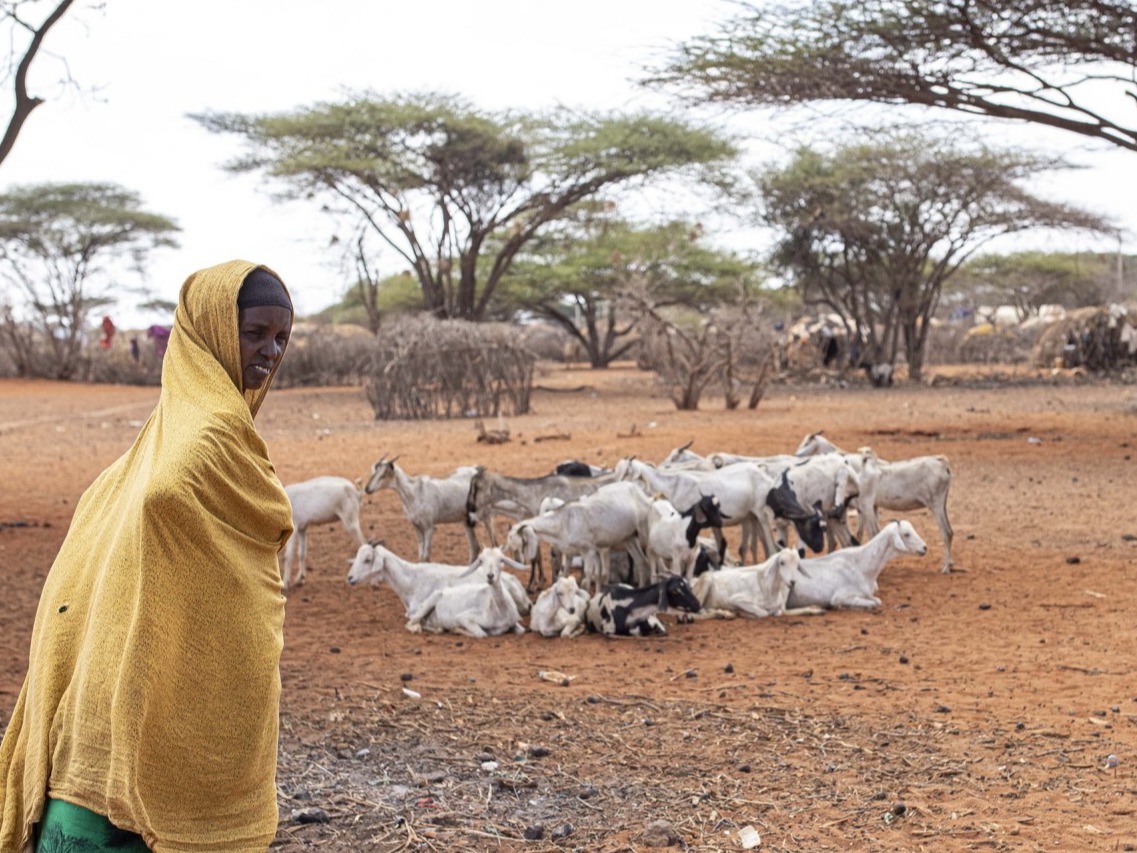 ©FAO/Patrick Meinhardt