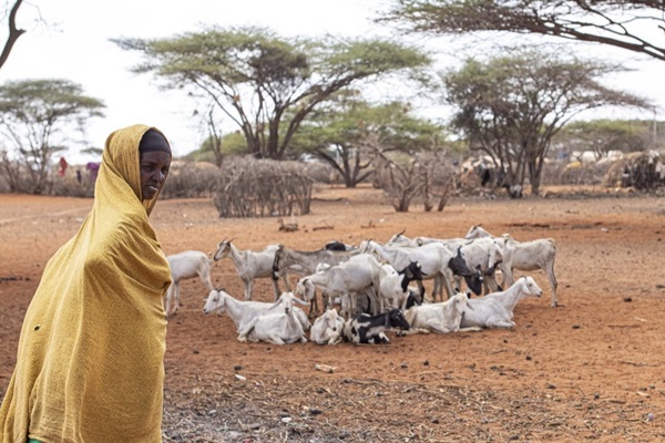 ©FAO/Patrick Meinhardt