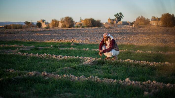 ©FAO/Soliman Ahmed/FAO