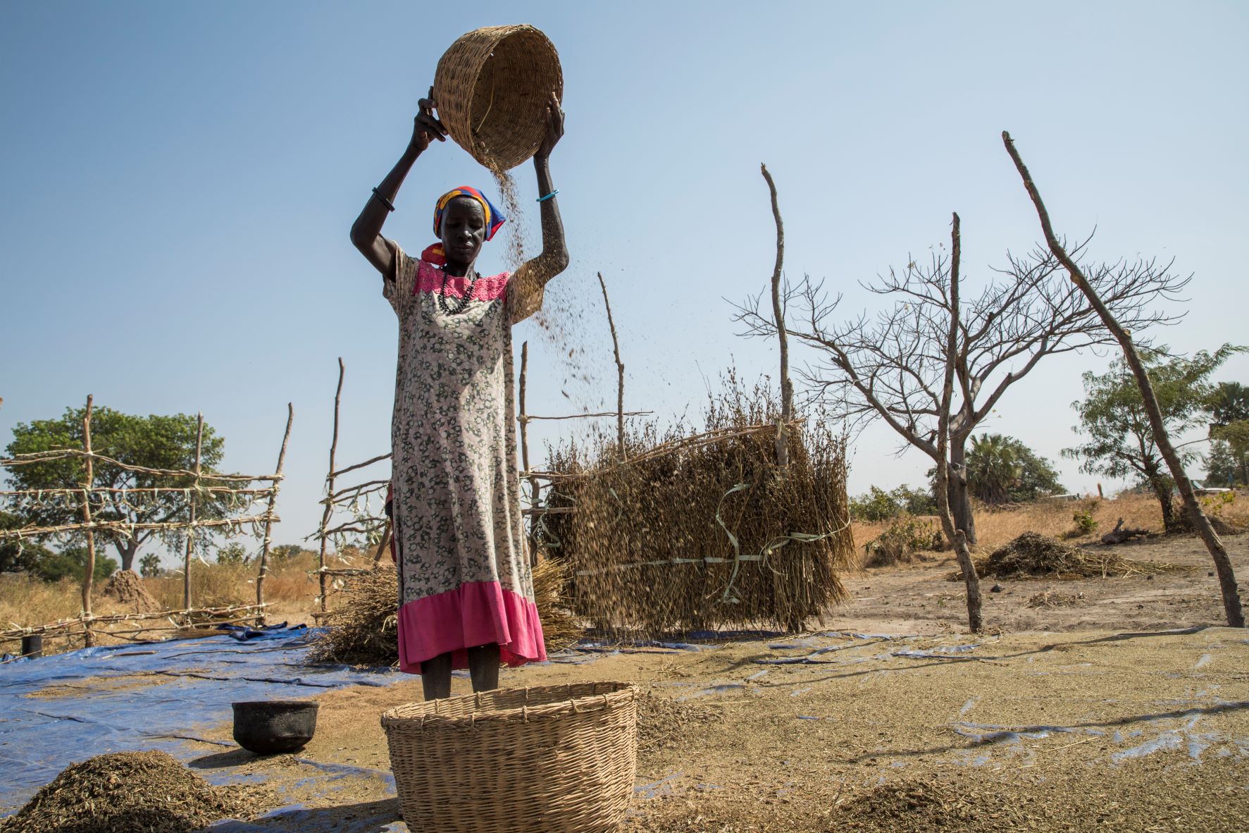 ©FAO/Mayak Akuot