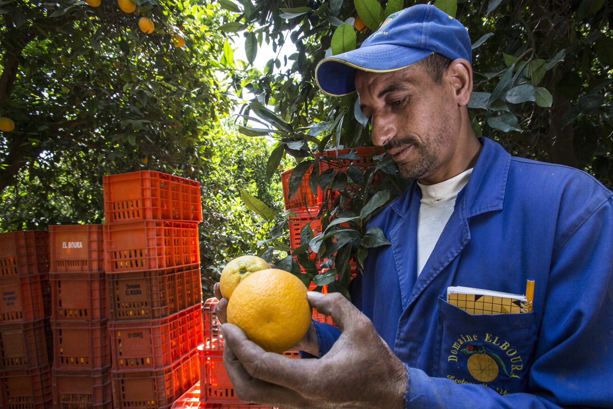 ©FAO/Alessandra Benedetti