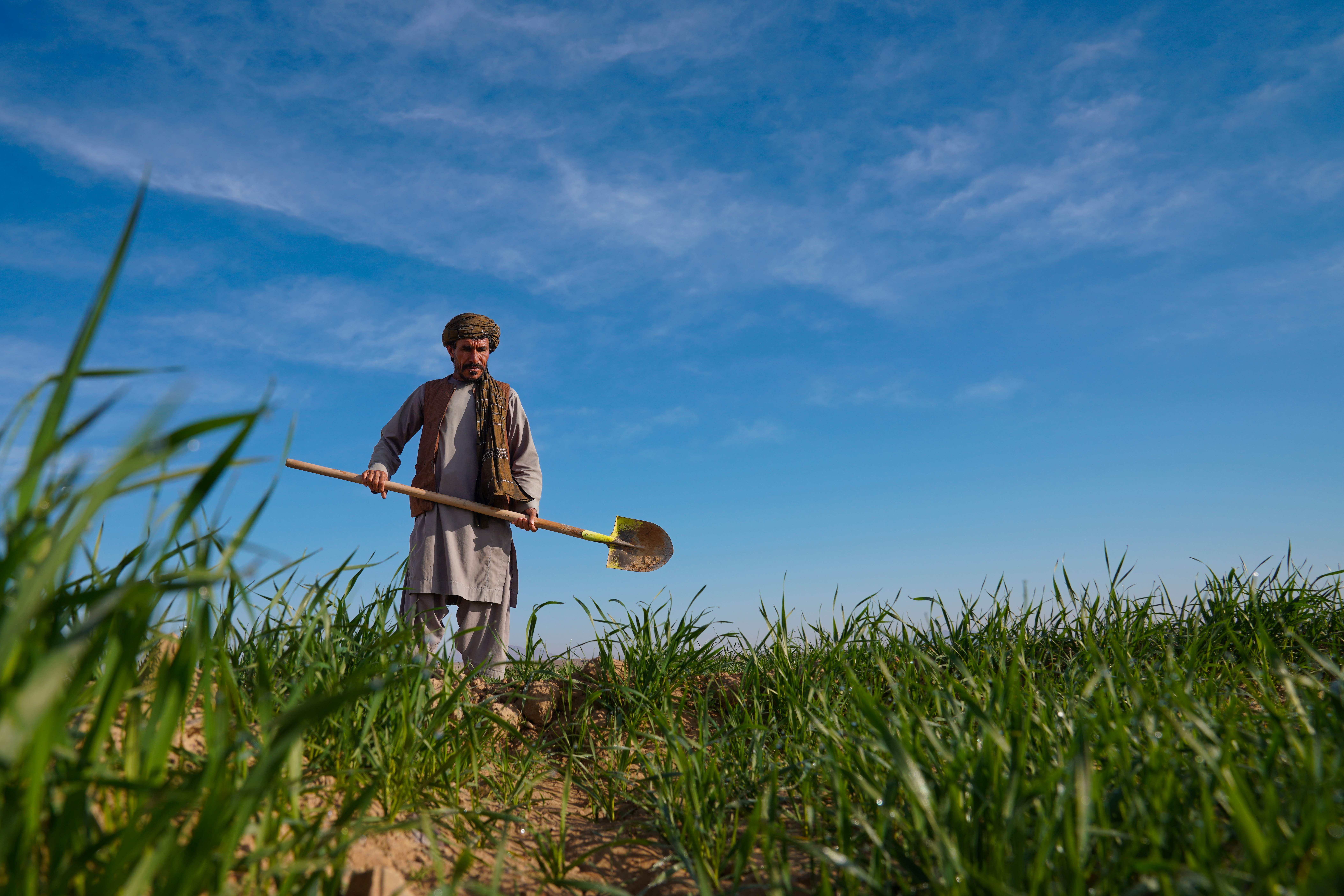 ©FAO/Hashim Azizi