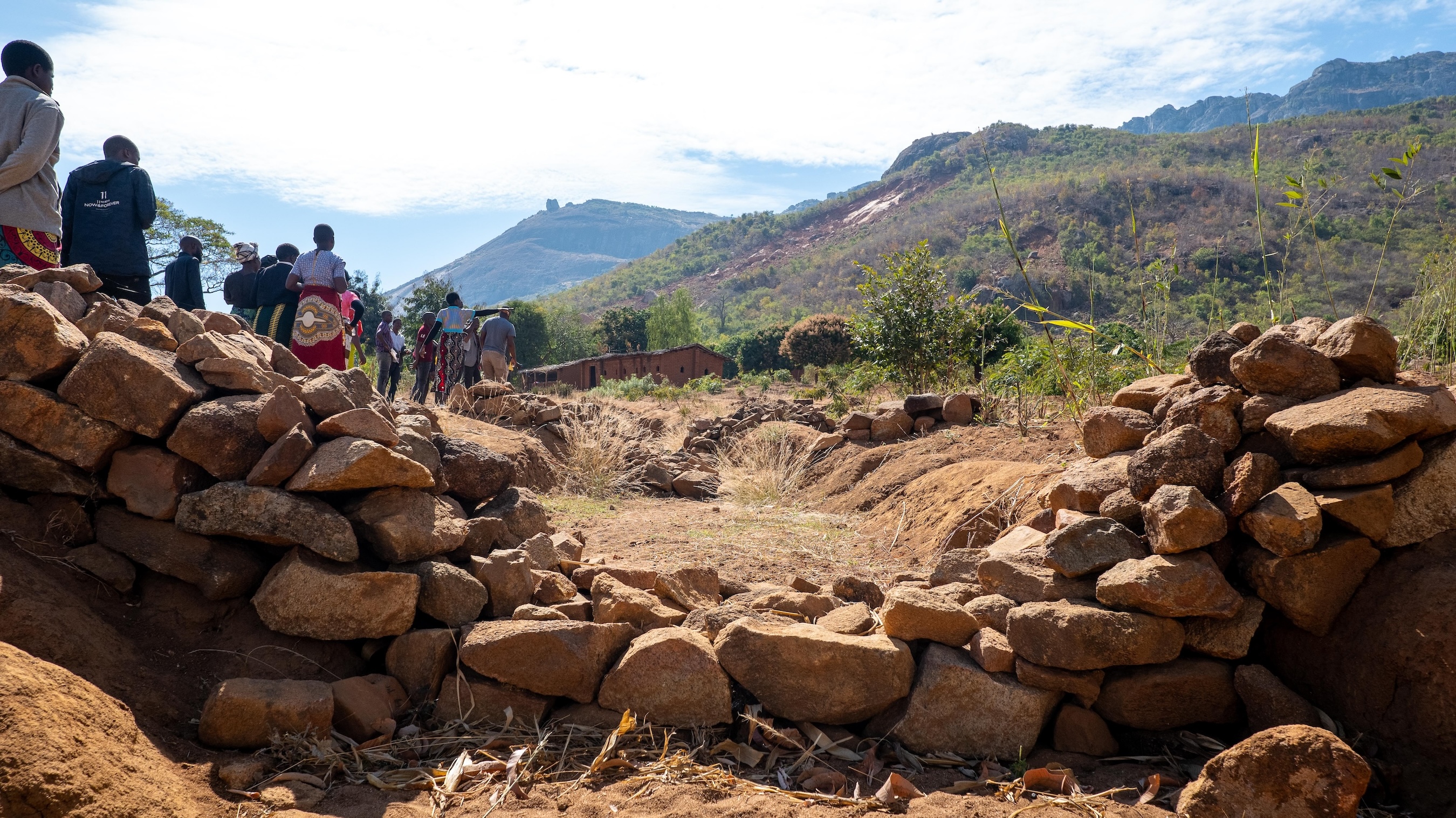 © FAO/Steven Katete