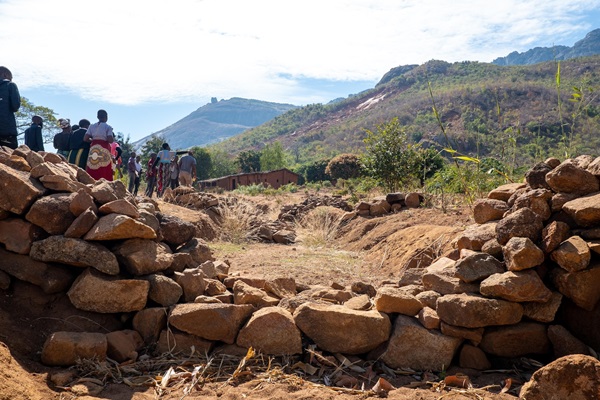 © FAO/Steven Katete