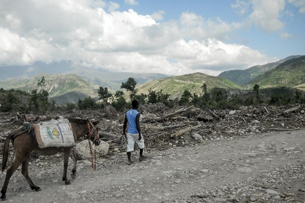 FAO Haiti