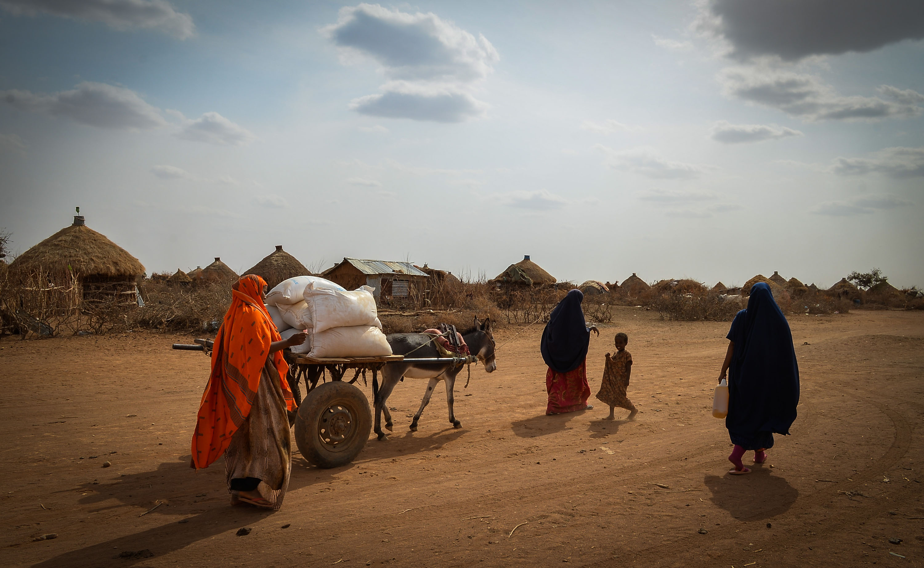 © FAO/IFAD/WFP/Michael Tewelde