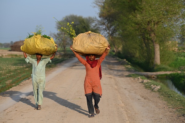 ©FAO/Kazi Riasat