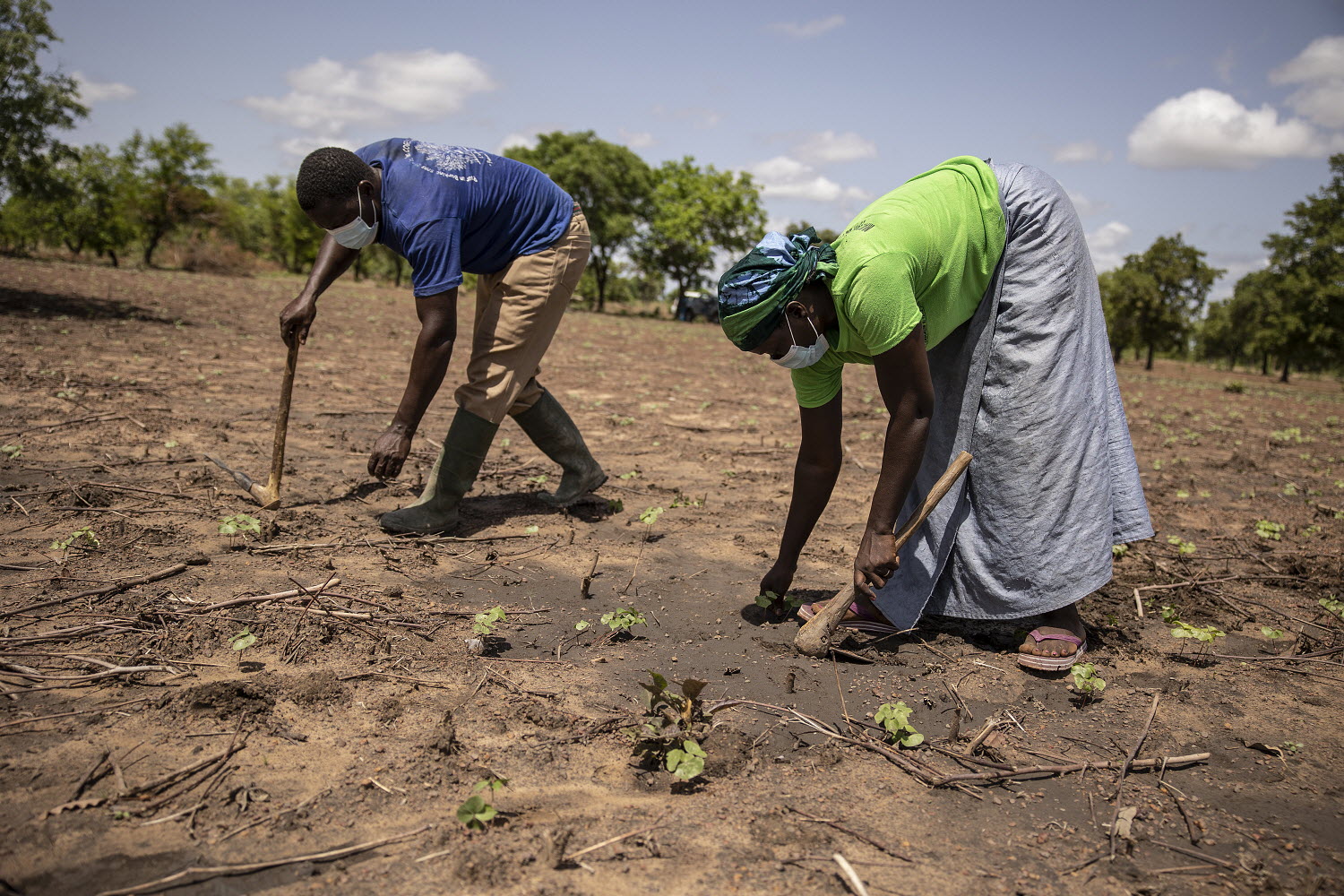 © FAO/Olympia de Maismont