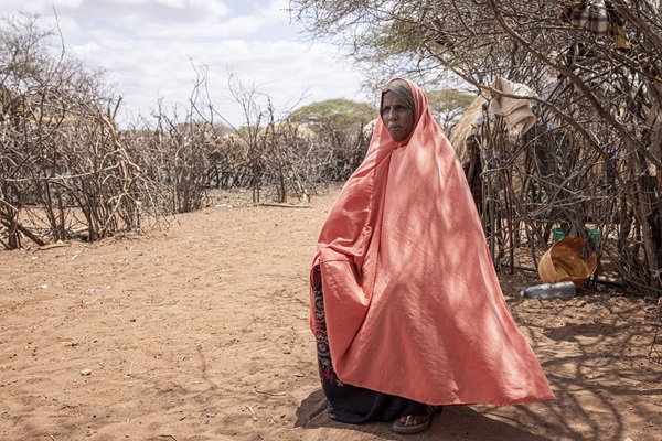 © FAO/Patrick Meinhardt