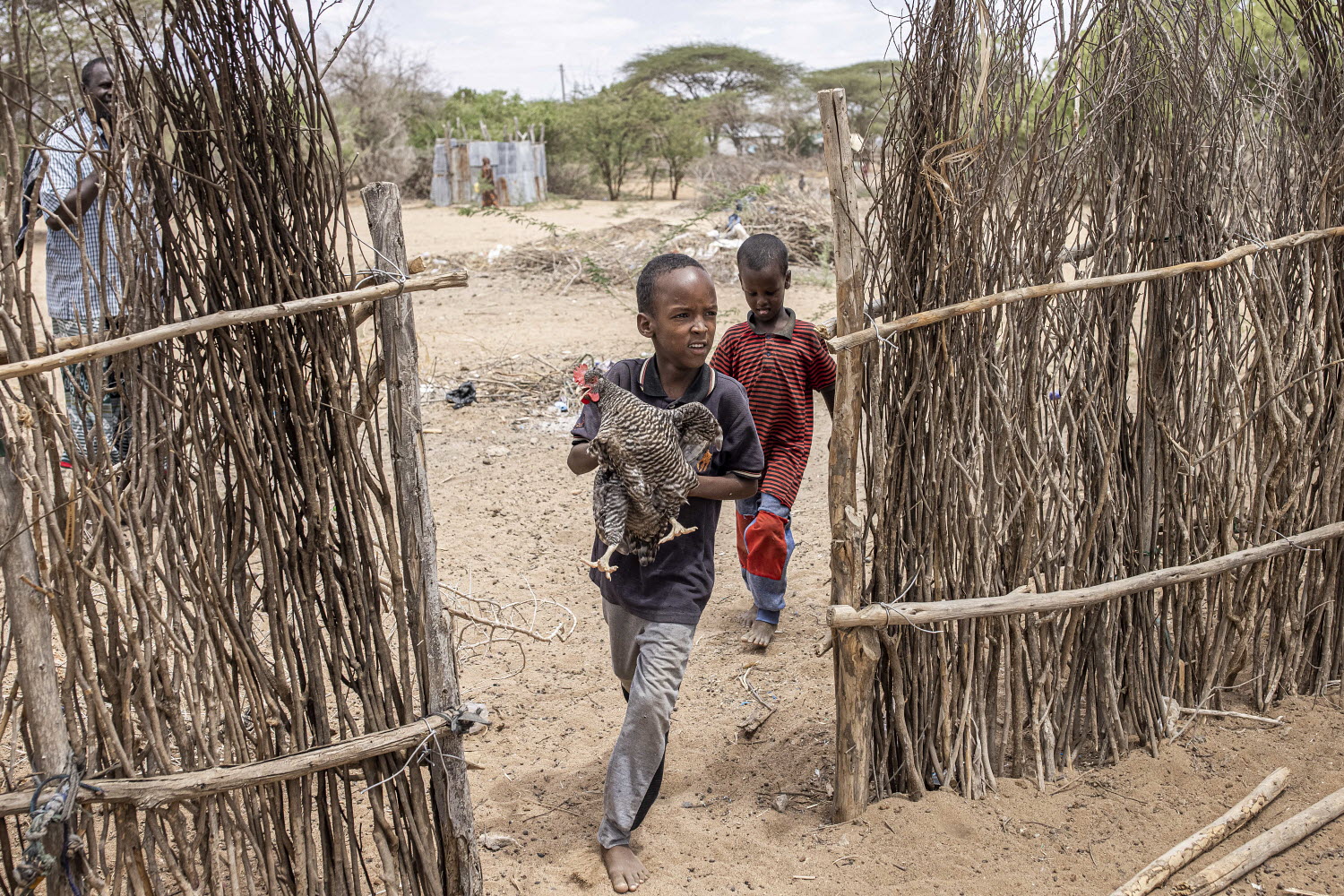 © FAO/Patrick Meinhardt