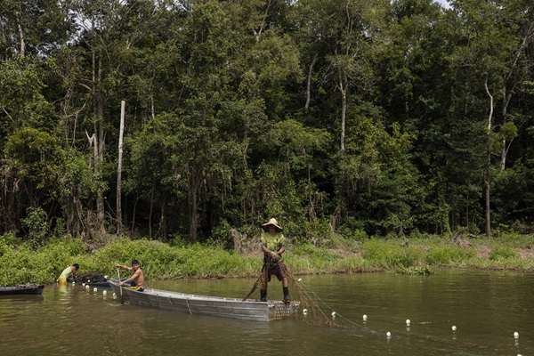 © FAO/Lalo de Almeida