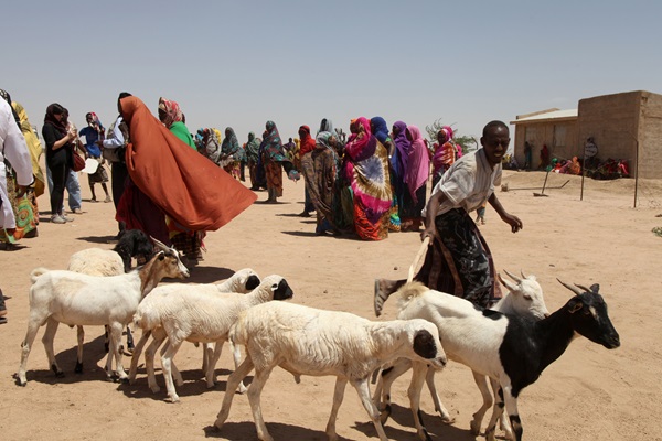 © FAO/Tamiru Legesse