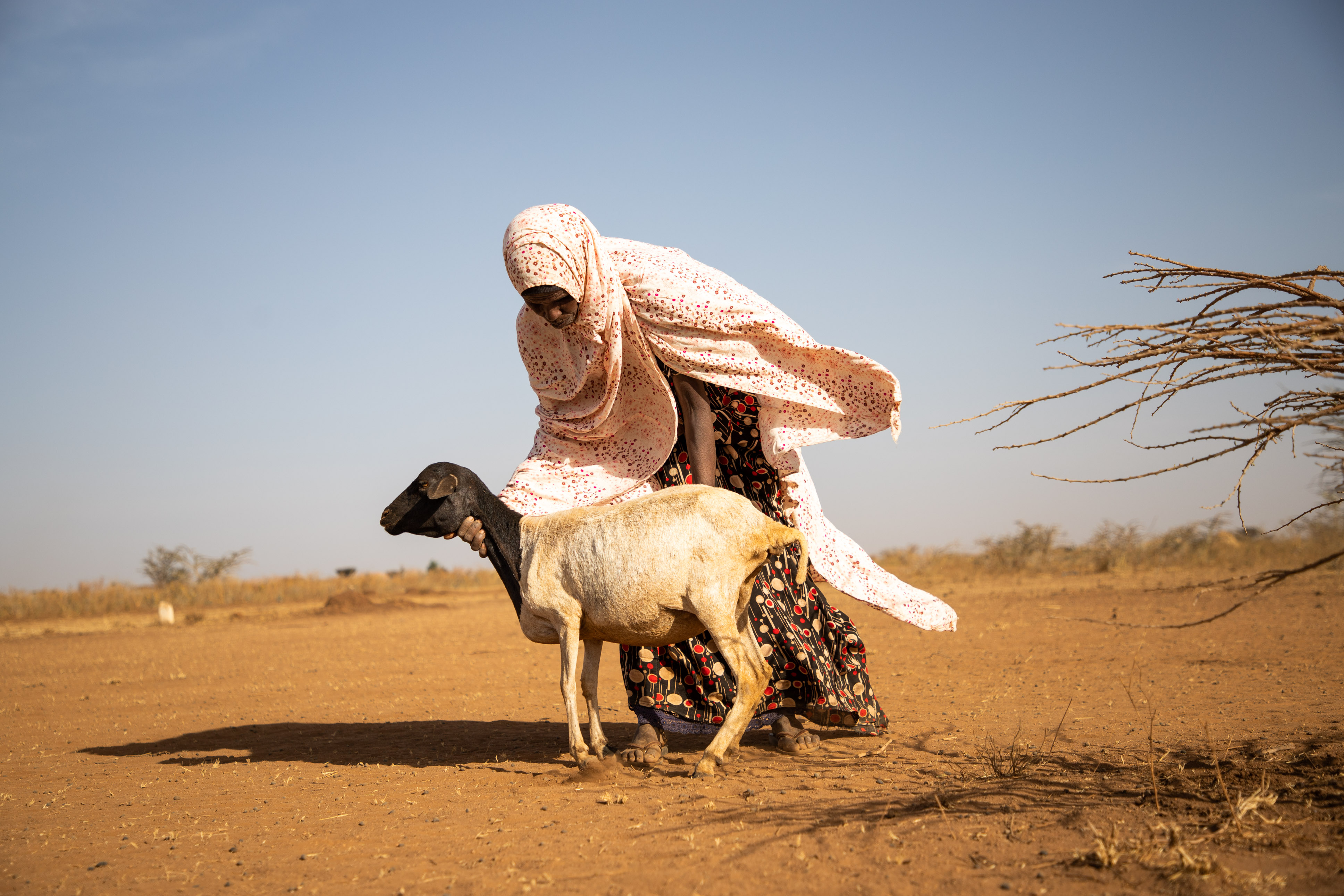 ©FAO/Michael Tewelde