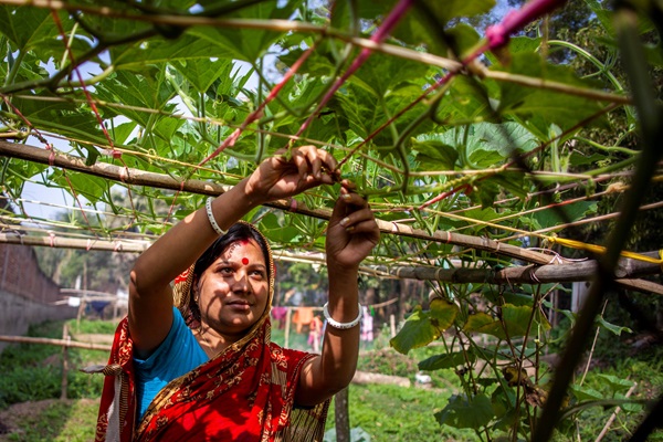 © FAO/Ehsan Kabir