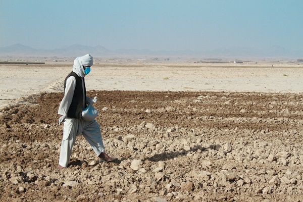 @FAO Photo/Hashim Azizi