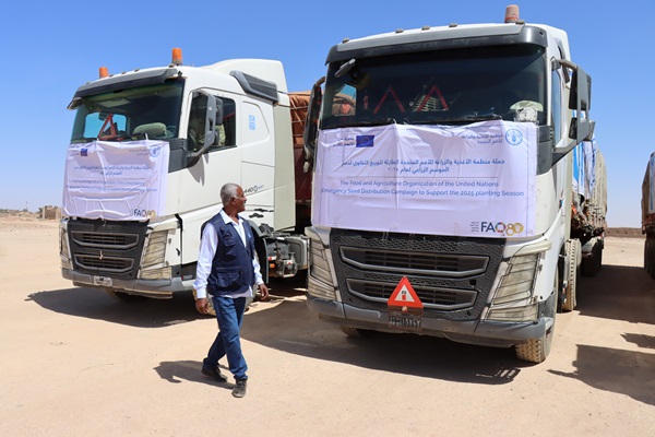 ©FAO/Abdelrahman Taha
