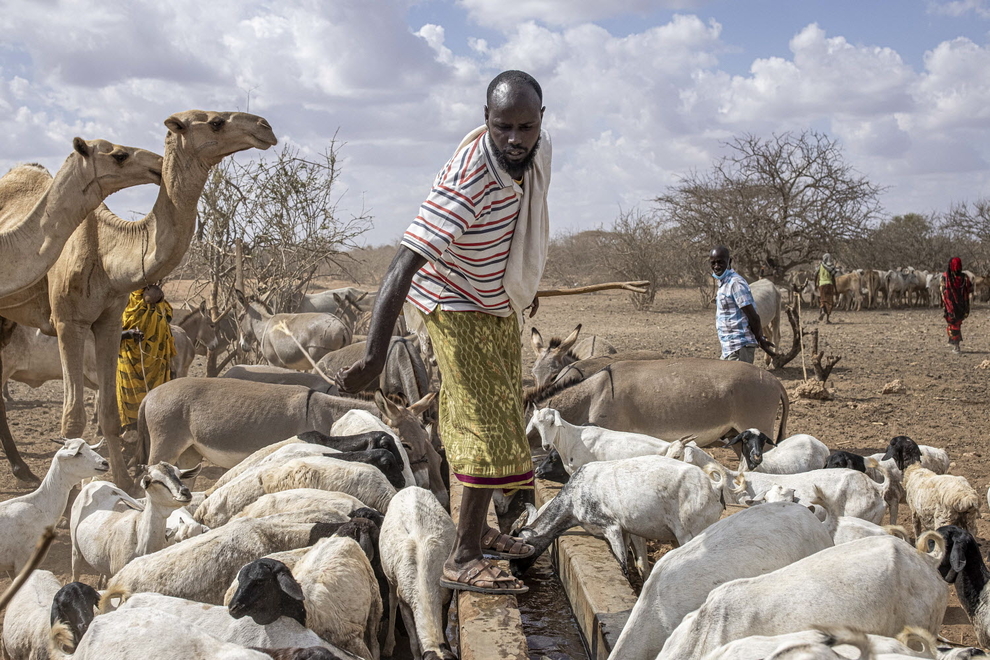 © FAO/Patrick Meinhardt