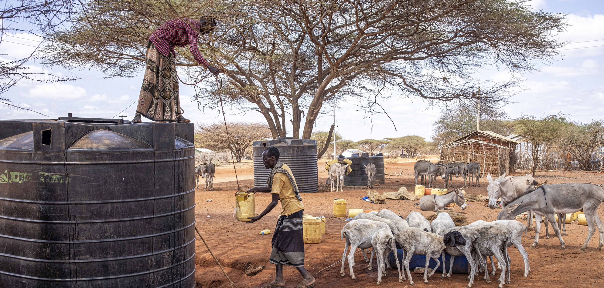 ©FAO/Patrick Meinhardt