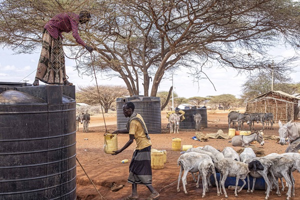 ©FAO/Patrick Meinhardt