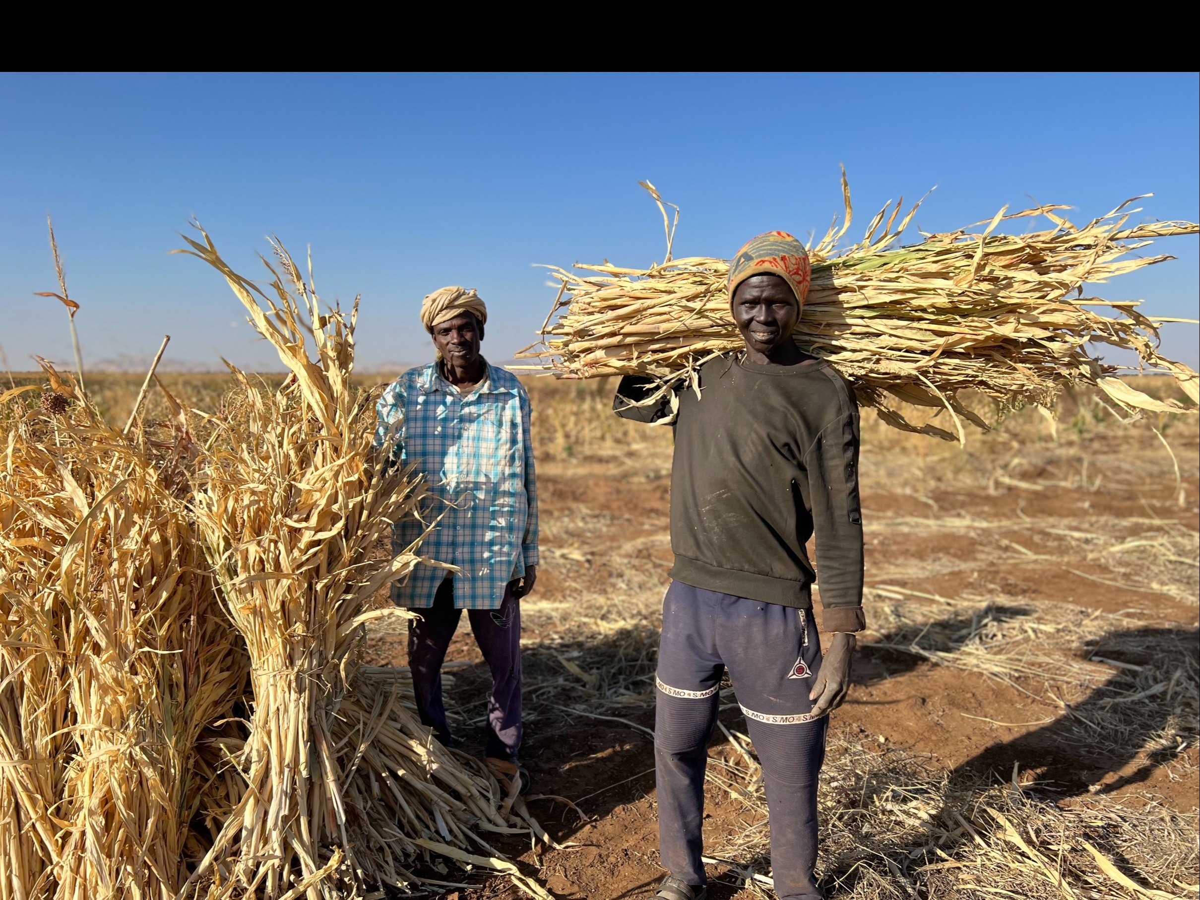 ©FAO/Eilaf Abdelbasit